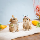 Hop Into Spring Table Decor Resin Floral Bunny, 3.75"H, Asst of 2, CDU