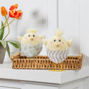 Hillside Pasture Table Decor Fabric Chick in Egg, Asst of 2, 7.8"H