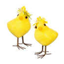 Bunny Blooms Table Decor Chick, 4.25"H, Asst of 2, CDU