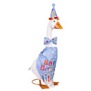 Giddy the Goose Outfit, Birthday Boy