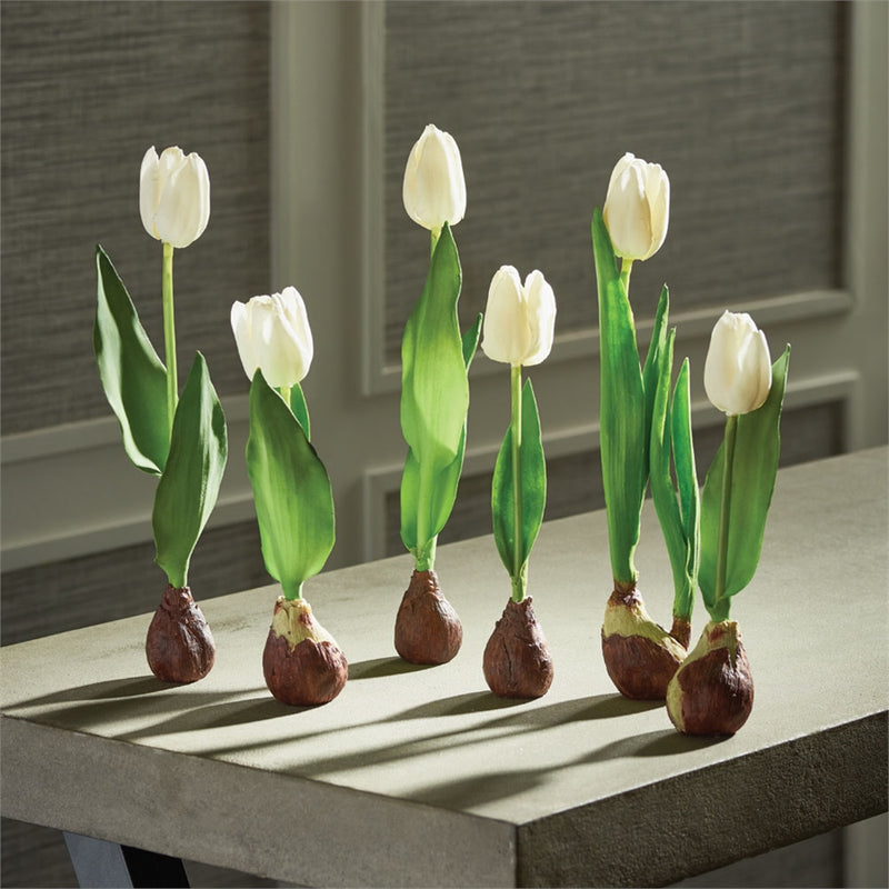 Napa Home Garden, STANDING TULIPS WITH BULBS ,SET OF 6,tp205