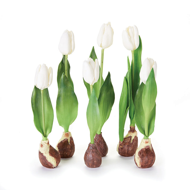 NAPA Home & Garden, STANDING TULIPS WITH BULBS, SET OF 6,TP205