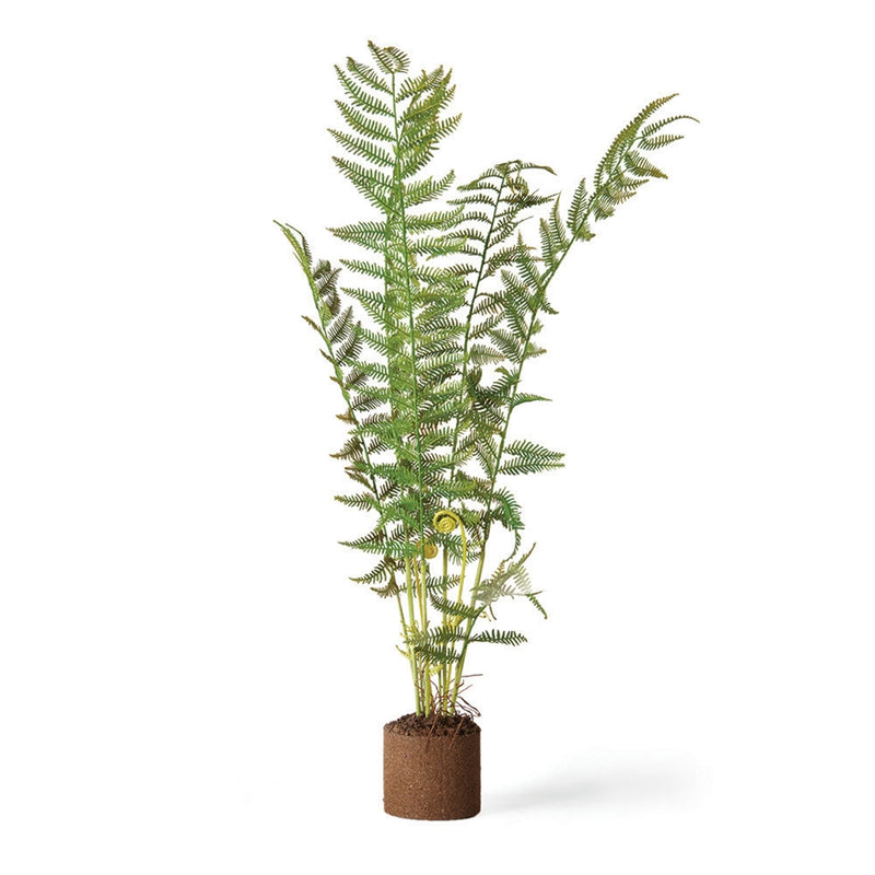 Napa Home Garden, SWORD FERN 32" DROP-IN,tp206