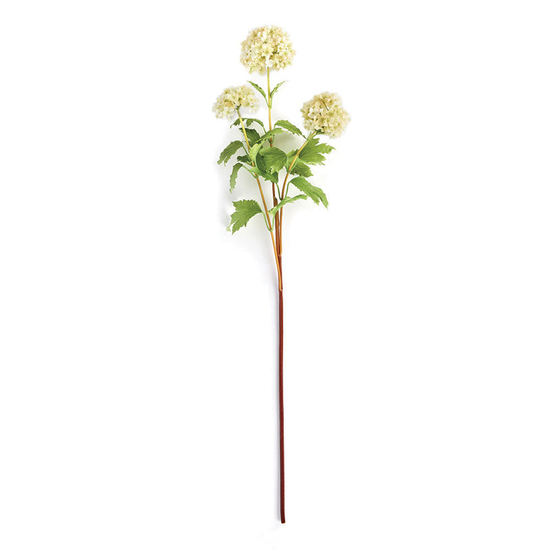 NAPA Home & Garden, VIBURNUM STEM 30",TP209