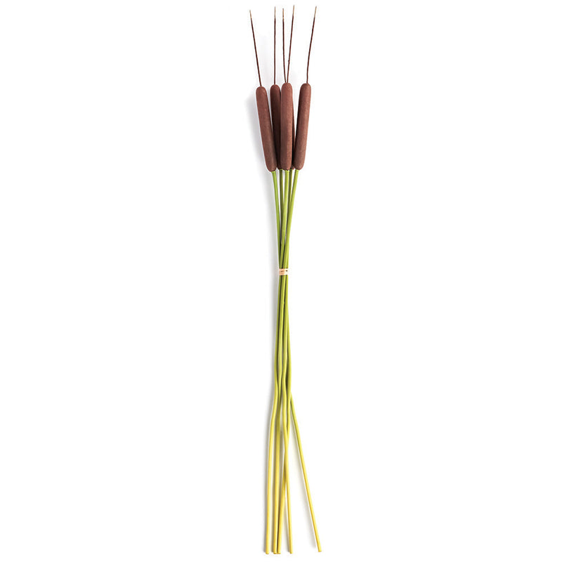 NAPA Home & Garden, CATTAILS 50", BUNDLE OF 5,TP212