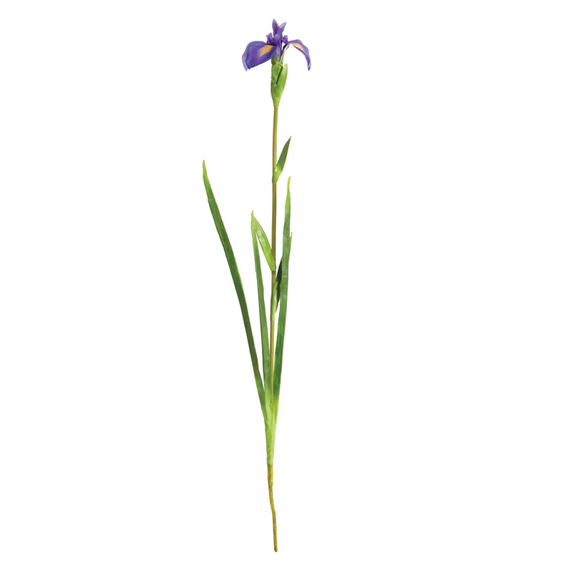 Napa Home Garden, DUTCH IRIS STEM 35" PR,tp412pr