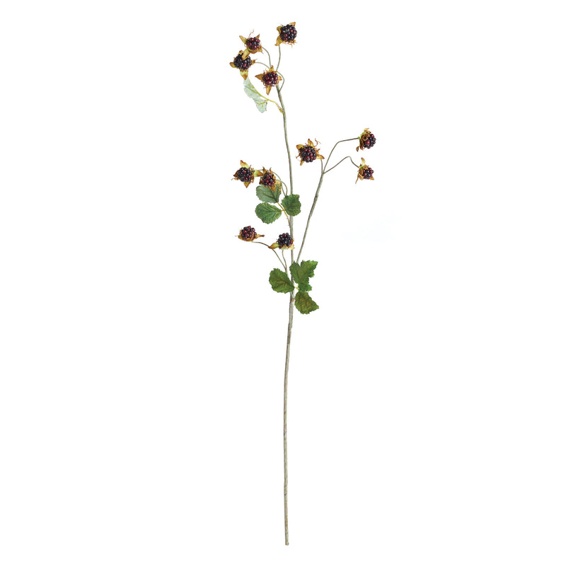 NAPA Home & Garden, WILD BLACKBERRY STEM 31",TP415