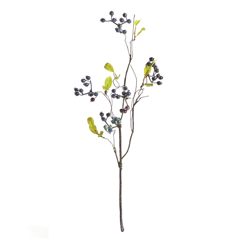 Napa Home Garden, WILD BLUEBERRY STEM 18",tp418