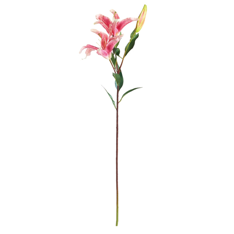 Napa Home Garden, LILY STEM 37",tp420