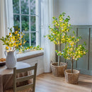 Seaside Retreat Tree, LED Lemon Tree, 6'H