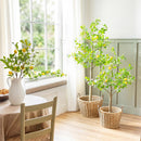 Seaside Retreat Tree, LED Lemon Tree, 4'H