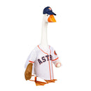 Houston Astros Sports Sports Goose Uniform
