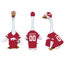 University of Arkansas Sports Sports Goose Uniform