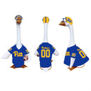 University of Pittsburgh Sports Sports Goose Uniform