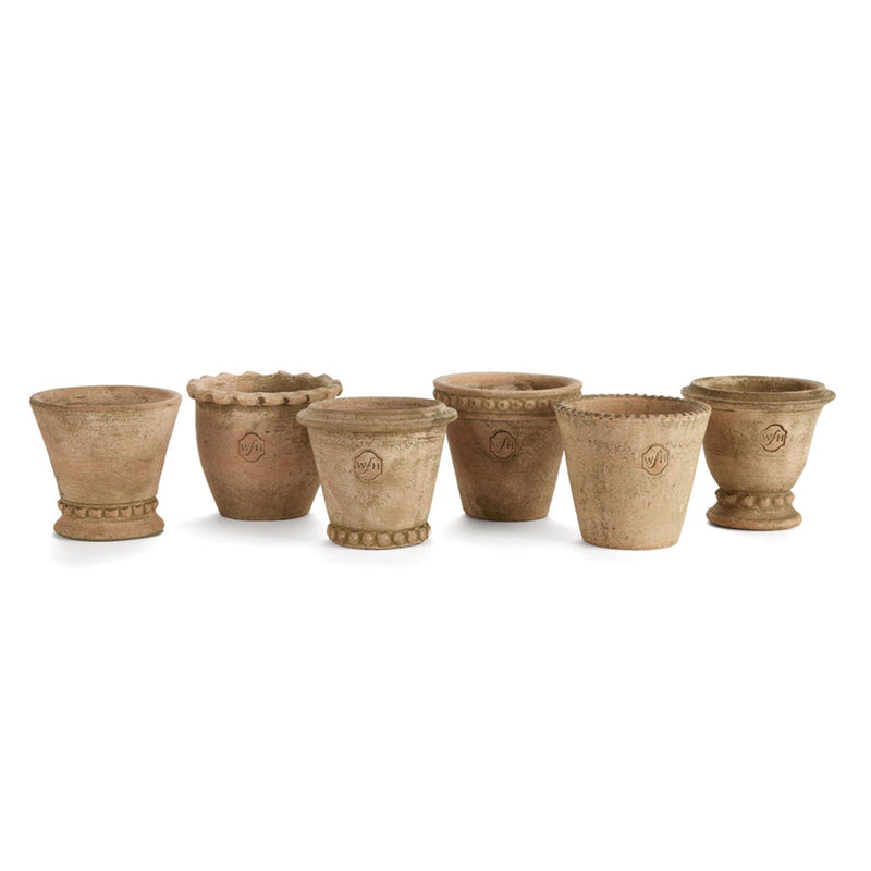 Napa Home Garden, WH MINI POTS ,SET OF 6,wh111at