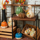 Orange/White Narrow Pumpkin Fig
