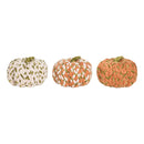 Large Wooly Pumpkins, A/3
