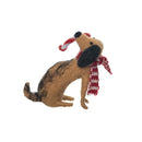 Dog Candycane Fig