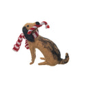 Dog Candycane Fig