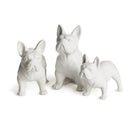 NAPA Home & Garden, Three Dog Night Collection