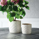 NAPA Home & Garden, WAVE POTS, SET OF 2,XN242WH