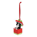 Kitten Present Ornament