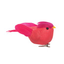 Clip Cardinal Orn