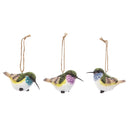 Hummingbird Figs, A/3