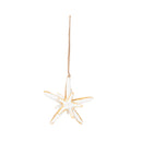Gold Trim Double Sea Star Orn