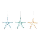 Acrylic Sea Star Orn, A/3