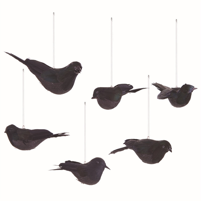 Napa Home Garden, BLACKBIRD ORNAMENTS ,SET OF 6,zf5824bk