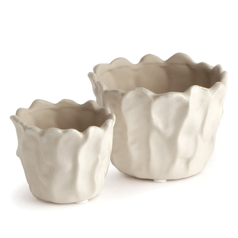 Napa Home Garden,  CABBAGE SM WHT ,SET OF 2,1037sw