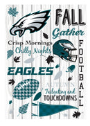 Philadelphia Eagles, Moire Flag, House Size, Fall Seasonal,13m3823