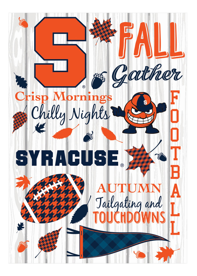 Syracuse University, Moire Flag, House Size, Fall Seasonal,13m940