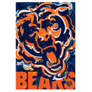 Chicago Bears, Suede REG, Justin Patten Logo,13s3805jpal