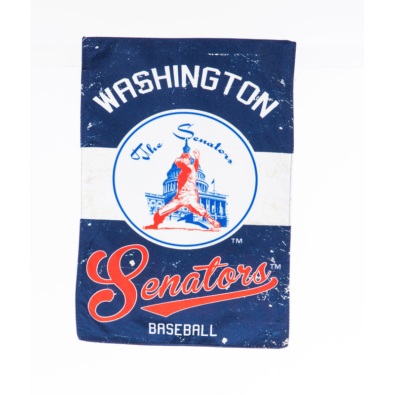 Washington Nationals, Vintage Linen REG,13l4229vint