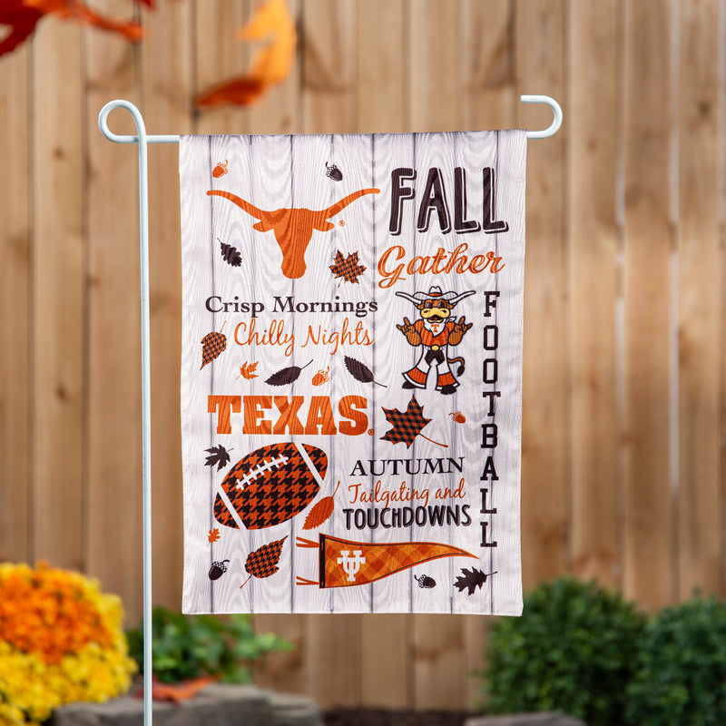 University of Texas, Moire Flag, GDN, Fall Seasonal,14m999