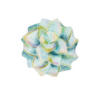 18" Hand Painted and Embossed Shaped Bird Bath, Succulent,2gb6966