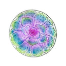 18" Hand Painted and Embossed Pebble Glass Bird Bath, Conchita Succulent,2gb7004