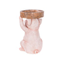 Pig Resin Birdbath,2gb7023