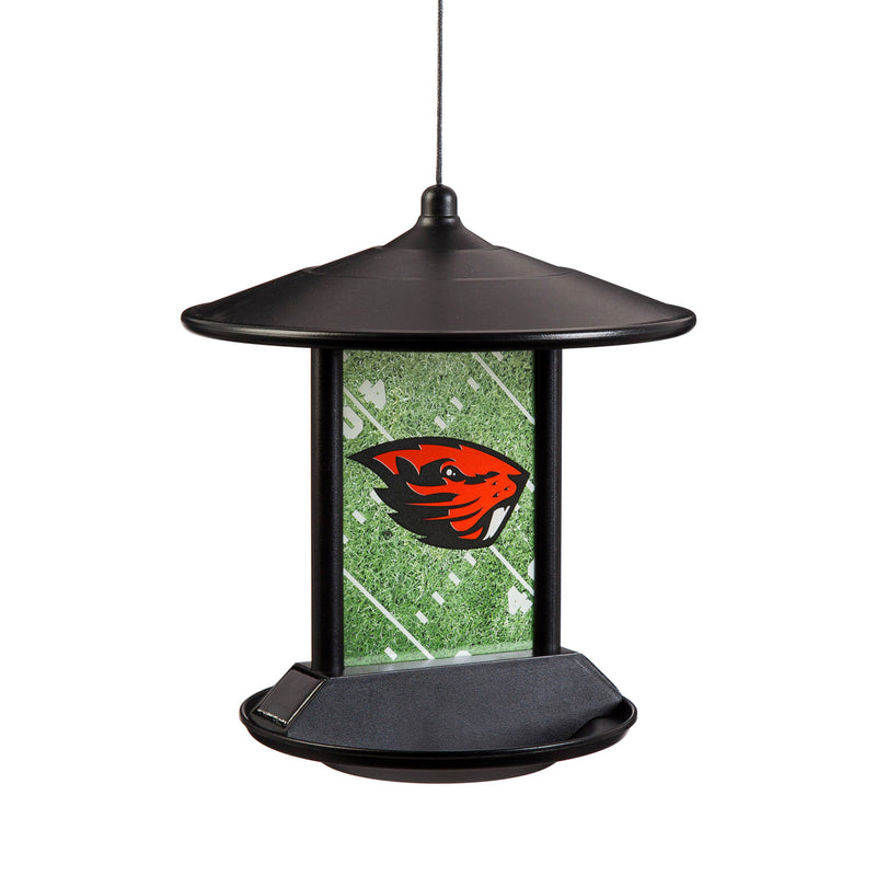 Solar Power Light Up Birdfeeder, Oregon State University,2sp989bf