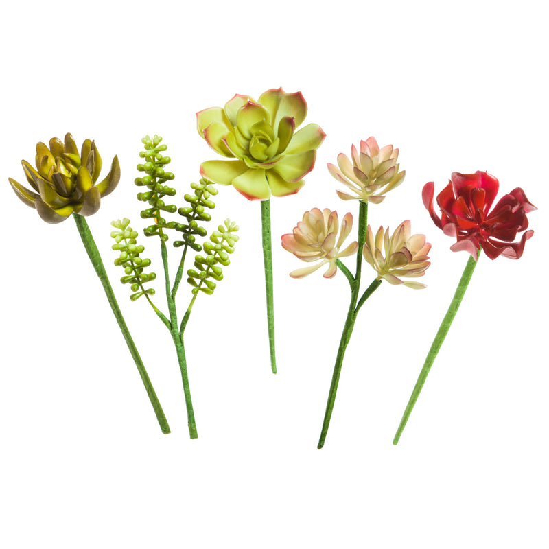 Succulent Decorative Stems, 5 ASST,3sy066