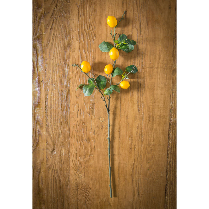 31'' Tall Lemon Stem,3sy087