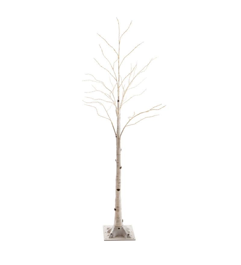 6'H Indoor/Outdoor Birch Tree with 256 White and Multicolor Lights,65k01