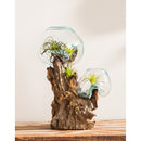 Medium Double Glass Bowl,8prm021