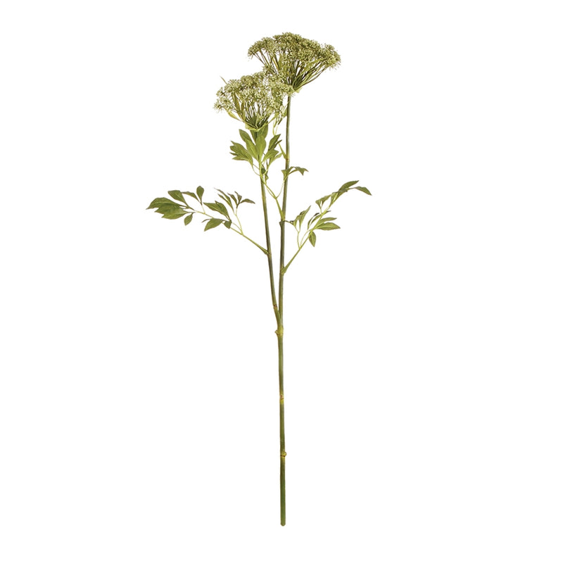 Napa Home Garden, QUEEN ANNE'S LACE 36" STEM,cc217