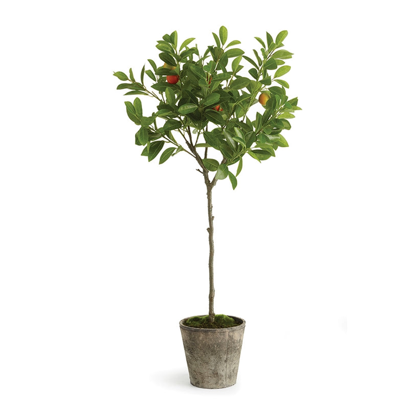 Napa Home Garden, ORANGE TOPIARY POTTED 41",cc303