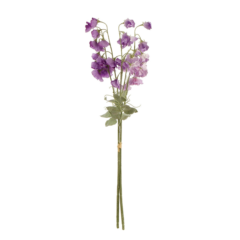 Napa Home Garden, SWEET PEA STEMS BNDLE/2 BLUE/VIOL,gp249pr