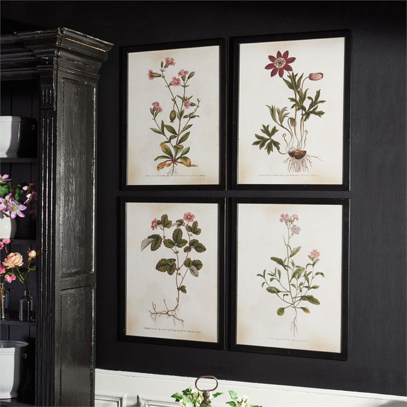 Napa Home Garden, WILDFLOWER ILLUSTRATIONS ,SET OF 4,na210