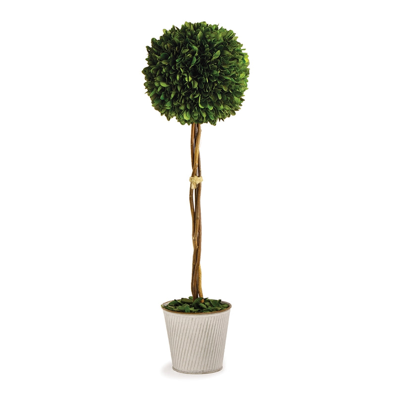 Napa Home Garden, PG 22" SNGL BALL TOPIARY IN GLV POT,pg203